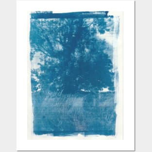 Tree Cyanotype Posters and Art